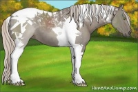 Horse Color:Silver Grullo Tobiano