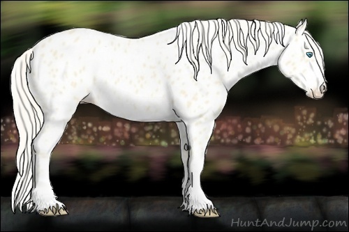 Horse Color:Cremello Near Leopard