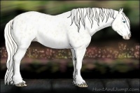 Horse Color:Cremello Near Leopard
