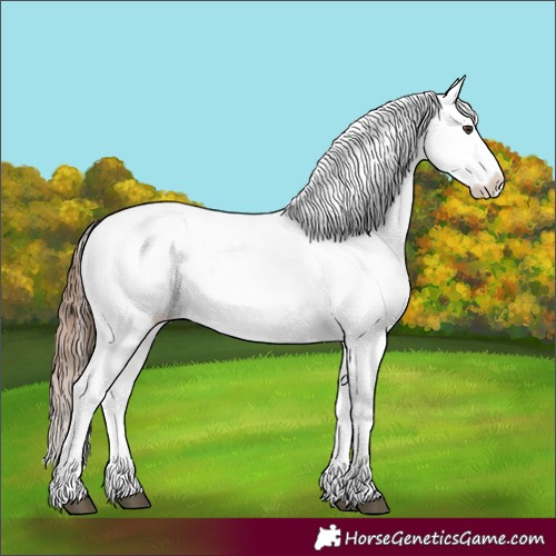 Horse Color:Red Dun Varnish 