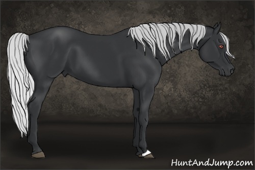 Horse Color:Silver Black Chinchilla 
