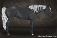 Horse Color:Silver Black Chinchilla 