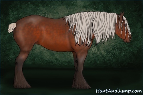 Horse Color:Silver Brown