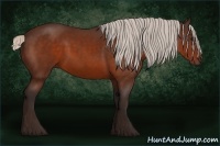 Horse Color:Silver Brown 