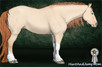 Horse Color:Gray Perlino Dun Tobiano 