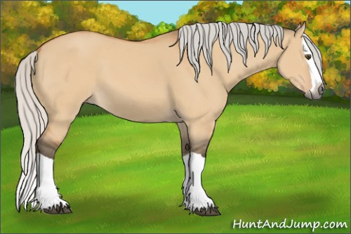 Horse Color:Gray Silver Buckskin Dun Splash
