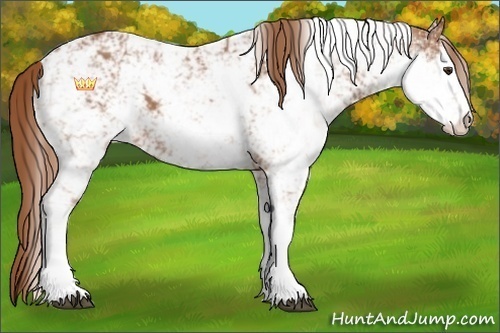 Horse Color:Chestnut Sabino