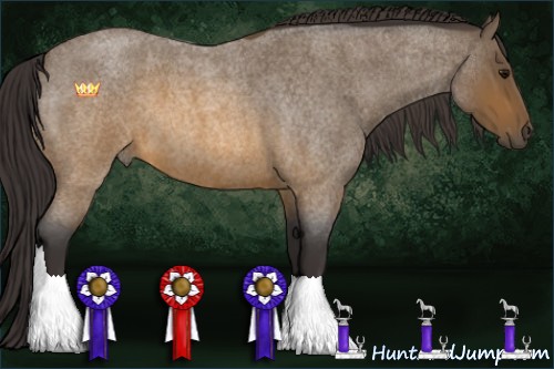 Horse Color:Buckskin Roan