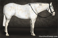 Horse Color:Cremello Near Leopard