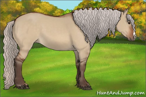 Horse Color:Silver Bay Dun 