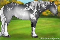 Horse Color:White Spotted Silver Brown Chinchilla 