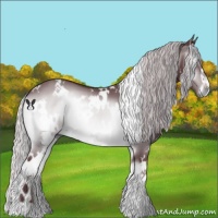 Horse Color:White Spotted Chocolate Silver Brown Chinchilla Onyx 