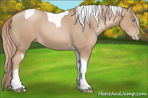Horse Color:Gray Palomino Pearl Tobiano 