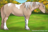 Horse Color:Gray Palomino Pearl Tobiano