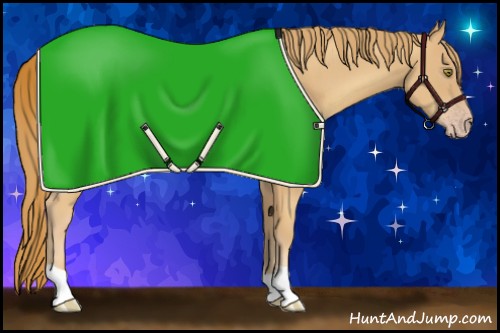 Horse Color:Gold Champagne 