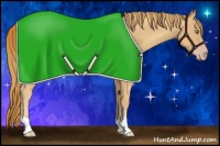 Horse Color:Gold Champagne 