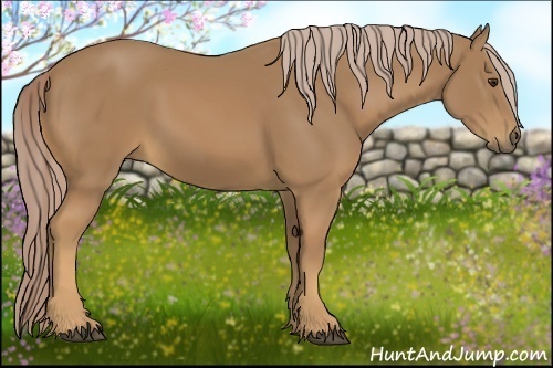 Horse Color:Palomino 