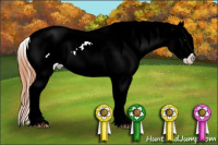 Horse Color:Bay Sabino Splash Blanket 