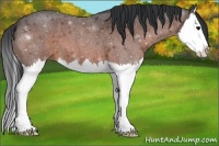 Horse Color:Brown Roan Splash 