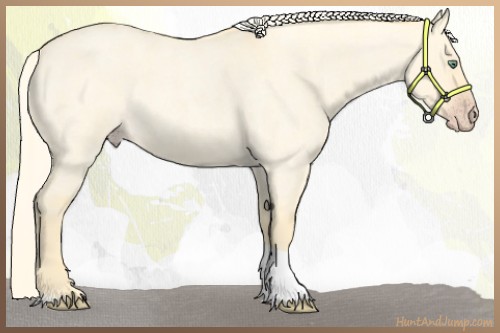 Horse Color:Gold Cream Champagne Roan Dun Tobiano
