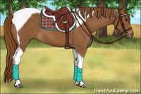 Horse Color:Chestnut Tobiano 