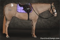 Horse Color:Chestnut Varnish 