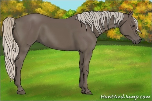 Horse Color:Silver Black 