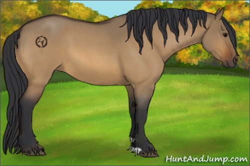 Horse Color:Bay Roan Dun 