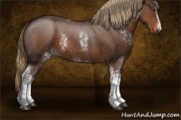 Horse Color:White Spotted Liver Red Roan 