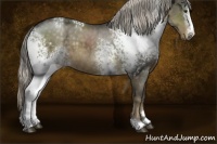 Horse Color:White Spotted Chocolate Palomino Mushroom