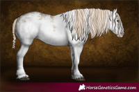 Horse Color:White Spotted Chocolate Palomino Mushroom