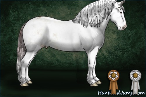 Horse Color:Chocolate Buckskin Dun Sabino 