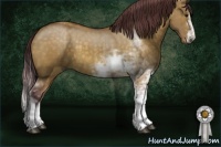 Horse Color:Chocolate Buckskin Dun Sabino