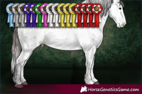 Horse Color:Chocolate Buckskin Dun Sabino Rabicano 