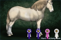 Horse Color:Chocolate Perlino Dun Sabino
