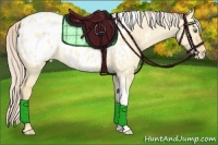 Horse Color:Gold Cream Champagne Roan Dun Tobiano Appaloosa 
