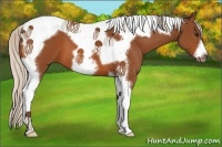 Horse Color:Silver Bay Tobiano Frame