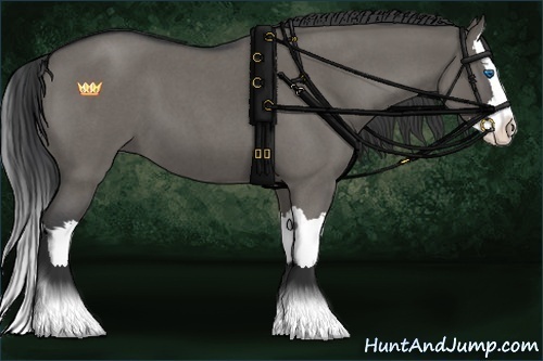 Horse Color:Grullo Roan Splash 