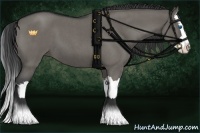 Horse Color:Grullo Roan Splash 