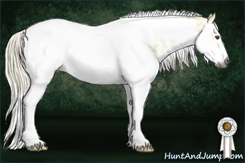 Horse Color:Gray Palomino Dun Splash Tobiano Near Leopard Rabicano 