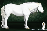 Horse Color:Gray Palomino Dun Splash Tobiano Appaloosa Rabicano 