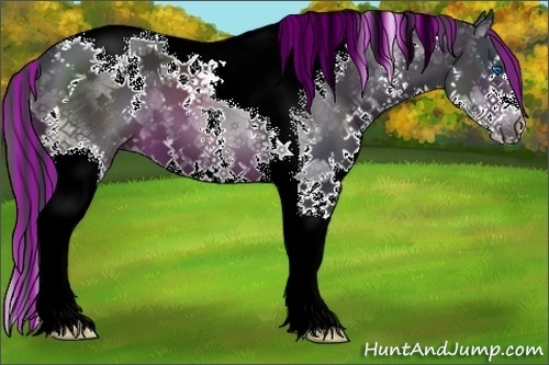 Horse Color:Painted Brown Splash Tobiano