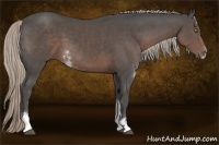 Horse Color:Silver Black Sabino 