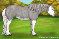 Horse Color:Silver Blue Roan Splash