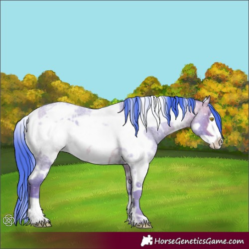 Horse Color:Watercolor White Spotted Amber Champagne Roan Frame Varnish