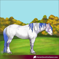 Horse Color:Watercolor White Spotted Amber Champagne Roan Frame Varnish 