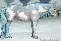 Horse Color:Watercolor White Spotted Brown Frame