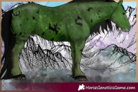 Horse Color:ERROR: UNKNOWN ANOMALY