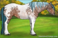 Horse Color:Painted Bay Ice Tobiano
