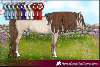 Horse Color:Brown Pearl Dun Tobiano
